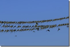 S&uuml;damerika 2024/25