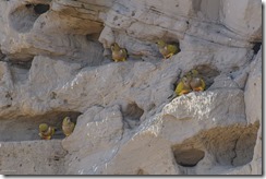 S&uuml;damerika 2024/25