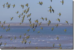 S&uuml;damerika 2024/25