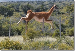 S&uuml;damerika 2024/25