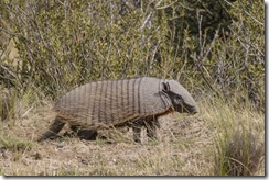 S&uuml;damerika 2024/25